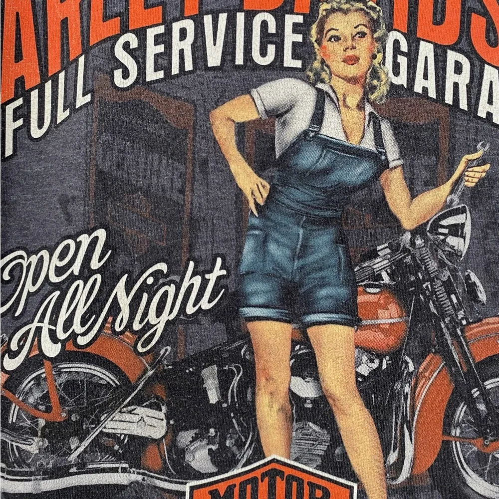 Harley-Davidson Gray Graphic T-Shirt